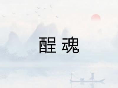 酲魂
