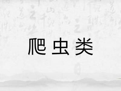 爬虫类
