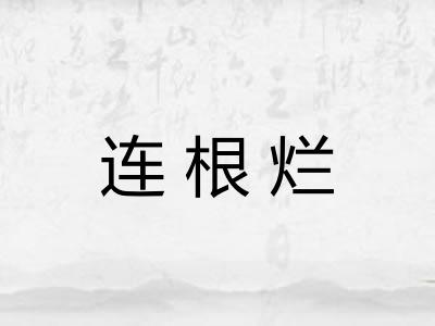 连根烂 连根烂