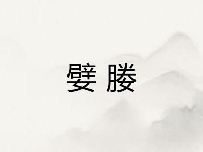 嬖媵