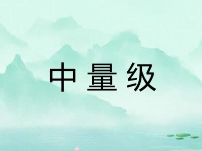 中量级 中量级