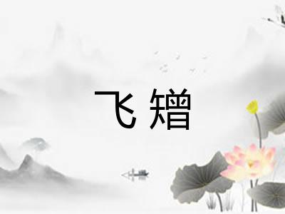 飞矰 飞矰