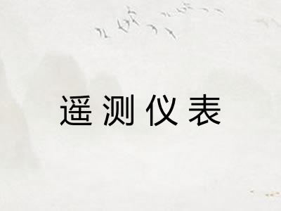遥测仪表 遥测仪表