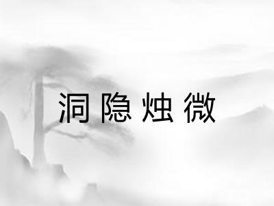 洞隐烛微