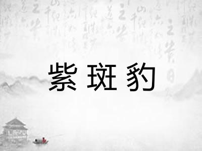 紫斑豹