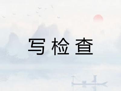 写检查