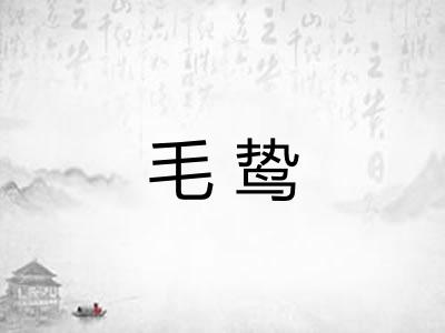 毛鸷