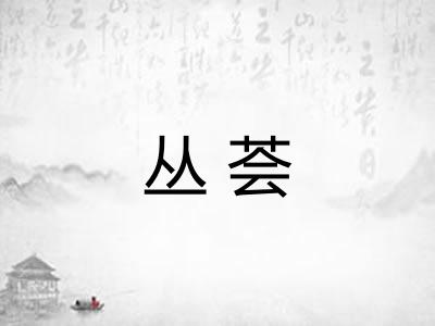 丛荟