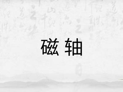 磁轴