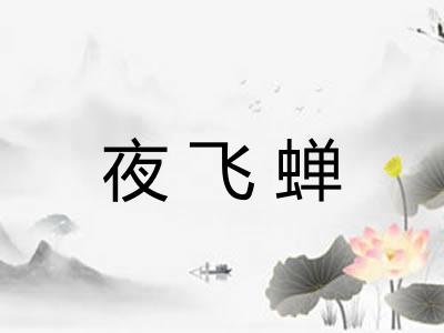 夜飞蝉 夜飞蝉