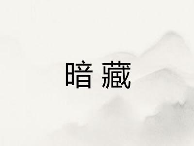 暗藏 暗藏