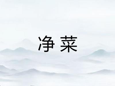 净菜 净菜