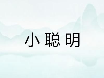 小聪明