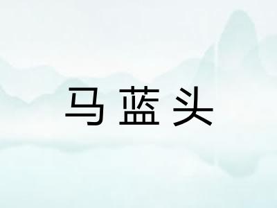 马蓝头