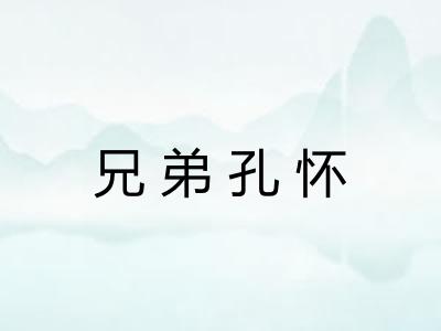 兄弟孔怀 兄弟孔怀