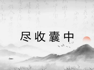 尽收囊中 尽收囊中