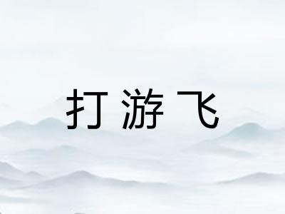 打游飞