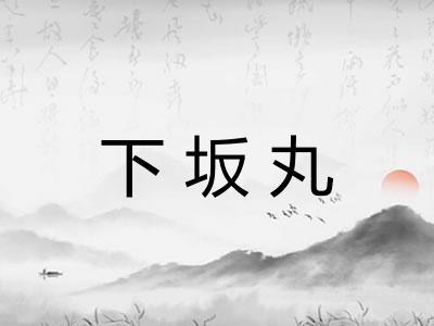 下坂丸 下坂丸