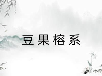 豆果榕系 豆果榕系