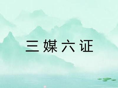 三媒六证
