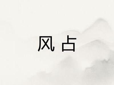 风占 风占