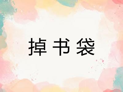 掉书袋 掉书袋