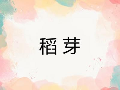 稻芽