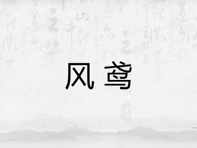 风鸢 风鸢
