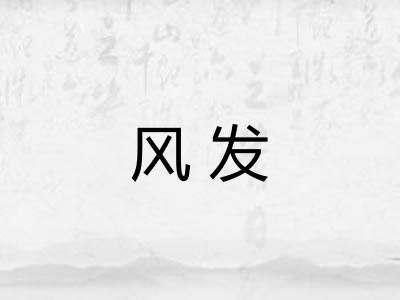 风发 风发