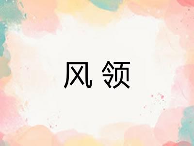 风领