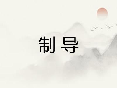 制导