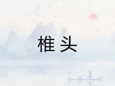 椎头 椎头