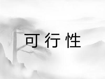 可行性