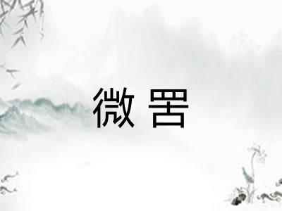 微罟 微罟