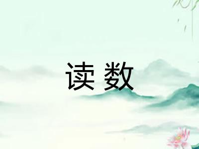 读数 读数