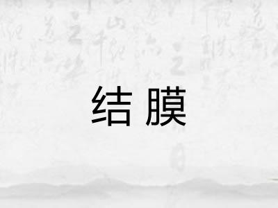 结膜