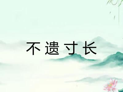 不遗寸长