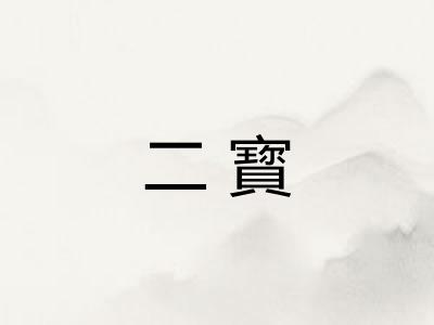 二寳