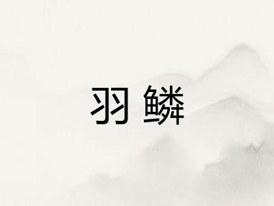 羽鳞 羽鳞