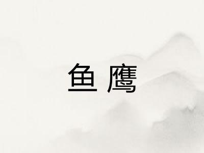鱼鹰 鱼鹰