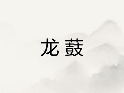 龙薣