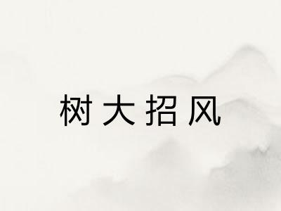 树大招风