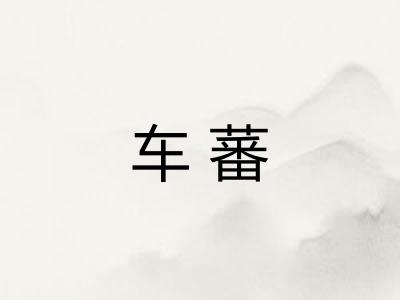 车蕃