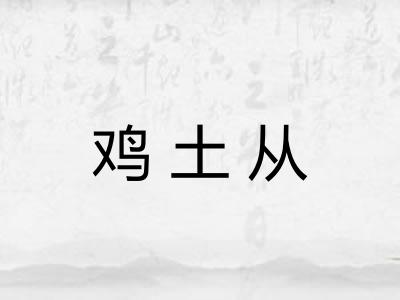 鸡土从 鸡土从