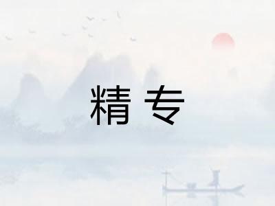 精专