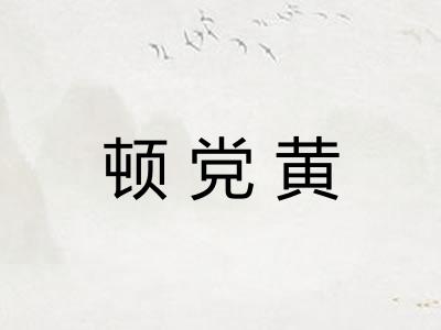 顿党黄 顿党黄