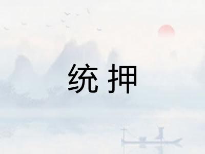 统押