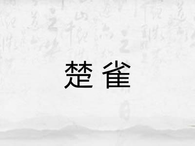 楚雀