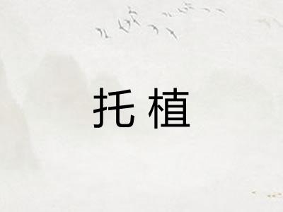 托植 托植