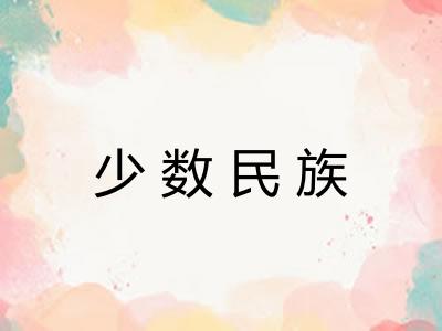 少数民族
